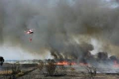 Incendio a Torre Guaceto (Br): WWF, ennesimo vile attentato