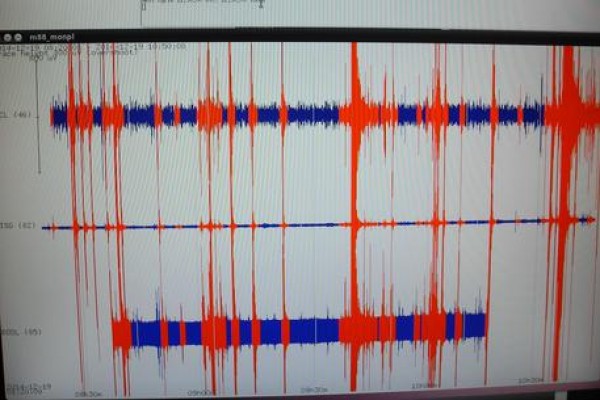 Terremoto di magnitudo 3.5 nel cosentino