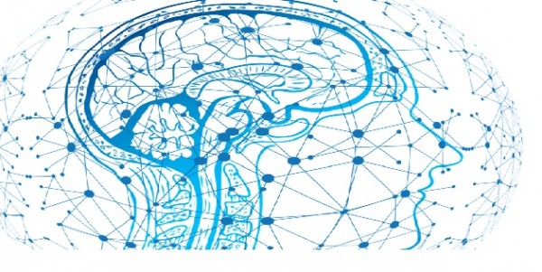 SuSTaIn, l&#039;algoritmo che permette di identificare tre sottotipi dell&#039;Alzheimer