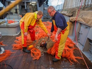 La Brexit in concreto? Da oggi la pesca non è più libera