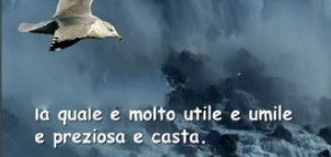 L’Acquedotto Pugliese insieme alla Diocesi per Notti Sacre