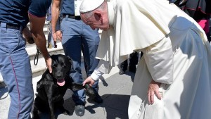 Papa Francesco accarezza Leo, il labrador che ha salvato Giorgia