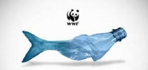 Plastica: WWF, Consiglio Di Stato positivo su iniziativa “Spiagge Plastic Free” della Regione Puglia