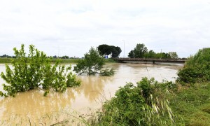   Le piogge incessanti hanno provocato l&#039; esondazione del fiume Lamone