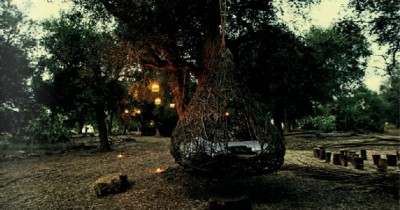 Lecce - Di notte, nel bosco