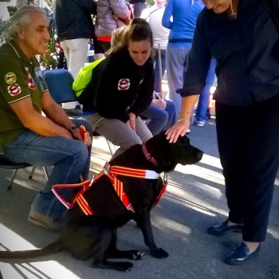 Firenze – E’ stato un successo l’Open Day della scuola cani guida per disabili