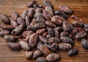 Sudamérica conoció mucho antes el cacao