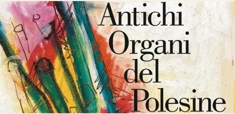 Rovigo – «Antichi Organi del Polesine» Omaggio al compositore Max Reger nel centenario della morte