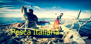 Pesca, D&#039;Amato (M5s): Ue aggiorni Feamp ed elimini limiti per aiuti al settore