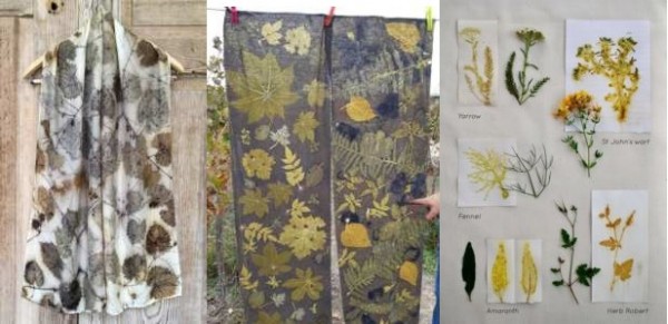 Workshop autunnale di Eco Printing Domenica 1 dicembre Bosco delle Pianelle