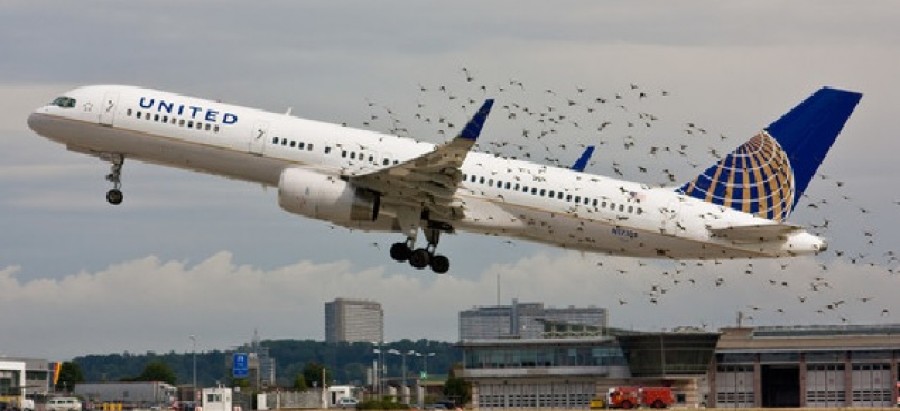 La startup italiana che salva gli stormi degli aeroporti