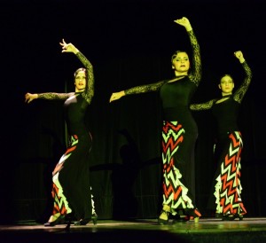 Fuego Gitano celebra 15 años bailando