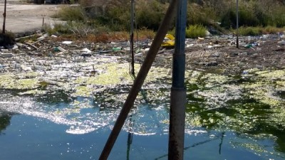 Taranto – Tornano i volontari della pulizia ambientale, stavolta è Cimino