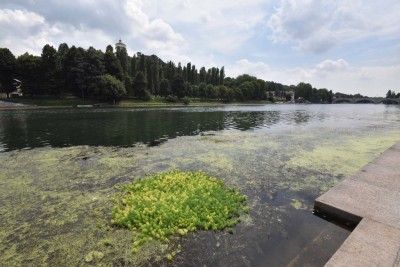 Torino – Oggi s’insedia tavolo tecnico per la salute del Po