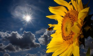 Tempo stabile in Italia, cielo sereno e poco nuvoloso nel prossimo weekend