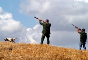 Caccia: Wwf, sospendere attività venatoria in giorni grande gelo