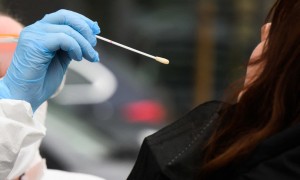 Coronavirus in Italia 73.195 nuovi casi, 159 morti e tasso positività al 15%: bollettino 31 marzo