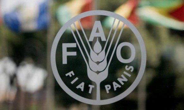 FAO: “Venezuela está entre los 41 países que requieren ayuda alimentaria externa”