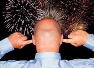 Danni agli animali per i botti di Capodanno? i sindaci hanno mani legate…dai Tar, dai prefetti e dal mercato
