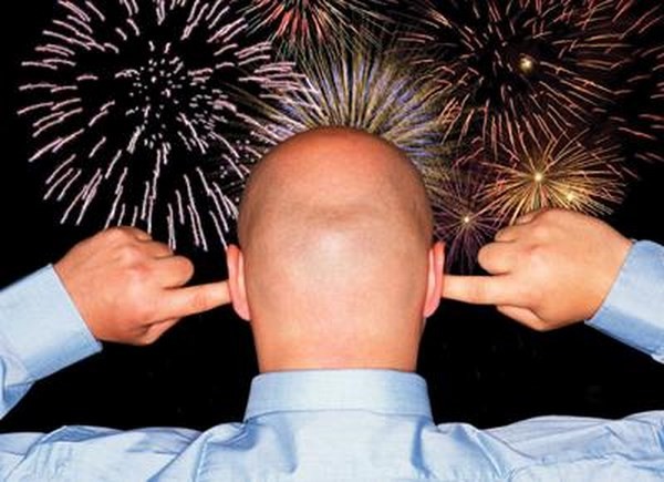 Danni agli animali per i botti di Capodanno? i sindaci hanno mani legate…dai Tar, dai prefetti e dal mercato