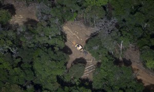 Amazzonia, deforestazione