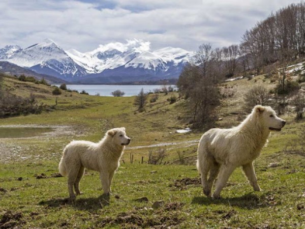 El Parque Nacional de los Abruzos