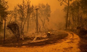 &quot;Il peggio deve ancora venire&quot;, l&#039;allarme nel rapporto Onu sul Clima