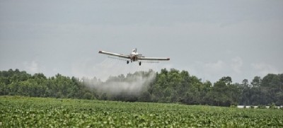 Usa: Monsanto condannata a risarcire un giardinere malato di cancro. È la prima volta