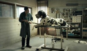Fotograma de &#039;Dogman&#039;, de Matteo Garrone 