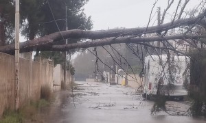 Un ciclone devasta la Sicilia. Esondazioni e crolli nella zona sudorientale