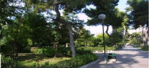 Un tarantino di Berlino vuole donare alberi a Taranto e si chiede come mai cosi poco verde nella sua città