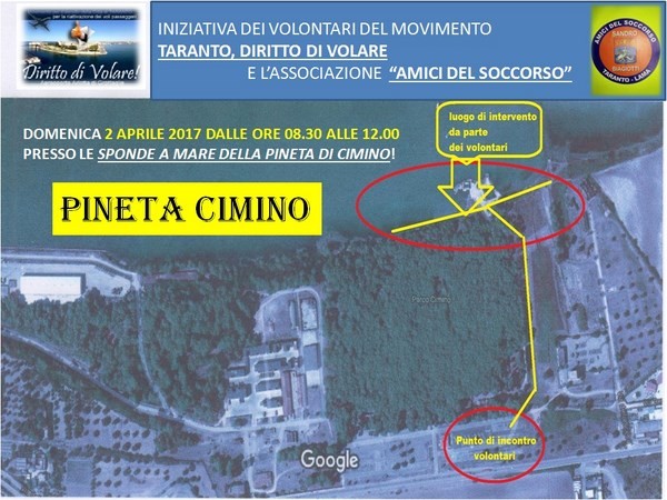 Taranto - Associazioni e volontari domani a pulire la Pineta Cimino