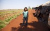 “In Brasile i Guarani assassinati dai sicari”, la denuncia di Survival