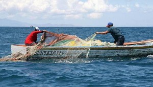 Pesca, D’Amato (M5S): risorse ittiche a rischio per inquinamento, non per piccoli pescatori