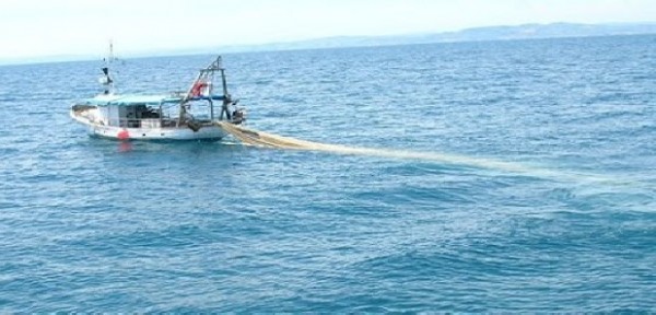 Attrezzi da pesca abbandonati in mare uccidono una megattera
