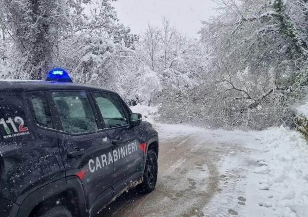 Neve Freddo
