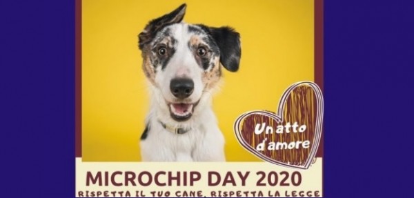Un atto d’amore per gli amici a 4 zampe. A Leporano microchip per i cani e sterilizzazioni gratuite per le colonie feline
