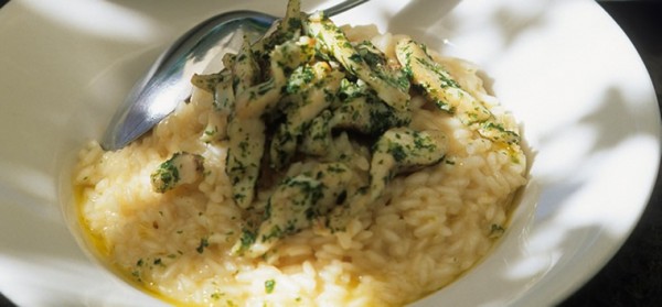 Risotto de perca