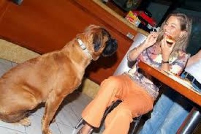 Un aperitivo da cani? Si, si può