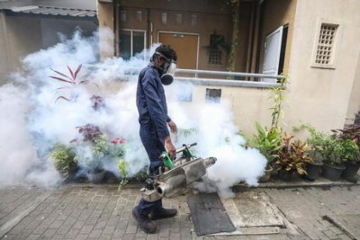 In Brasile esplodono i casi di dengue, quasi mille morti