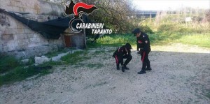 Taranto – Emergenza criminalità, artigiani e commercianti in agitazione ora fanno proposte