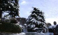 Paesaggio innevato nel Torinese