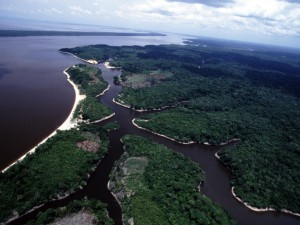 Clima: siccità blocca capacità assorbimento Co2 dell&#039;Amazzonia
