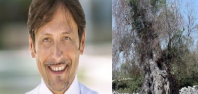 Xylella / Stefàno (Pd), «Centinaio spieghi differenza trattamento tra Nord e Sud»