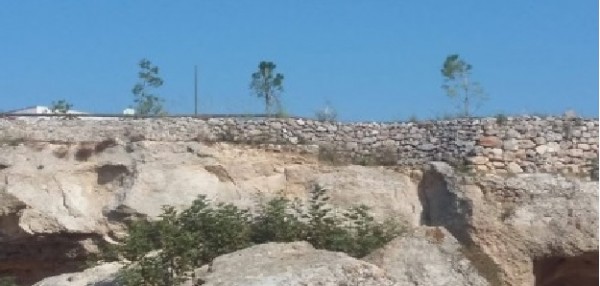 Crispiano (Taranto) – “Ci mancavano gli alberi di pino sulle grotte del Vallone”