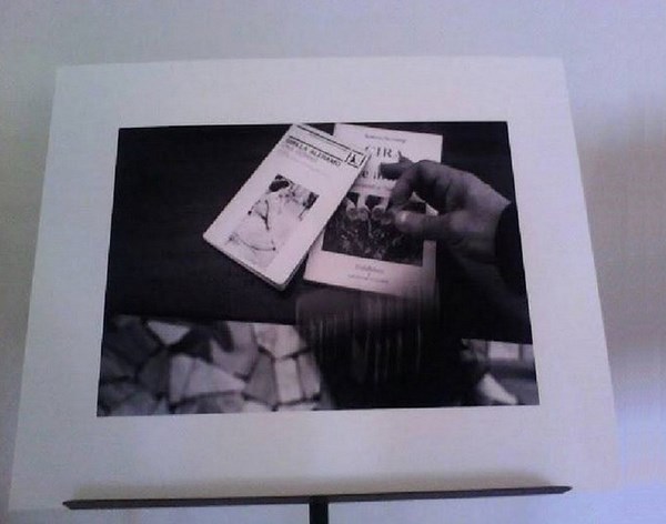 Immagine (Copia) (Copia)