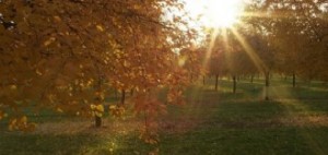 Il materiale che scompare alla luce del sole