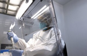Zika: virus presente nel sistema nervoso centrale e nei genitali femminili