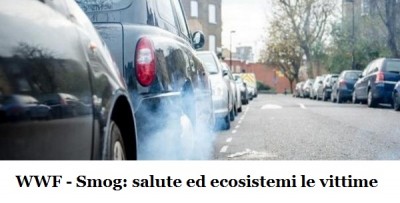 WWF - Smog: salute ed ecosistemi le vittime, rimuovere le cause in modo strutturale