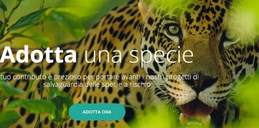Black Friday: le iniziative web del WWF. &laquo;sull&rsquo;estinzione la natura non fa sconti&raquo;&rdquo;